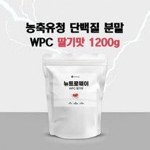 고함량 농축 유청 단백질 파우더 미국산 포대유청 프로틴 쉐이크 류신 분말 여성 유청단백질 보충제 추천 식사대용 WPC 아미노산 (스푼동봉), 약15~30일분 X1봉 (딸기맛), 1개