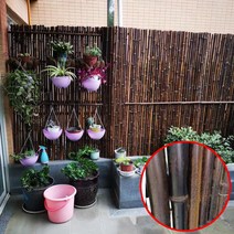휀스 대나무 담벼락 담장 펜스 정원 팬스 울타리 전원주택, 탄화죽24m2m