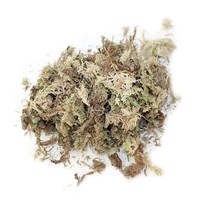 인공잔디 테라스 마당 현관 카페 발 매트 인조잔디 L 건조 이끼 영양 토양 꽃 심기, 1.6L
