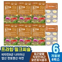 밀크시슬 자양강장제 기력회복제 술해독 술빨리깨는법 식욕감퇴 남성 간회복 몸이무거워요 기력보충 간기능개선제 오가닉 40대 지방간 활력 개선제 비타민 노년 만성피로 간피로 건강한 아연
