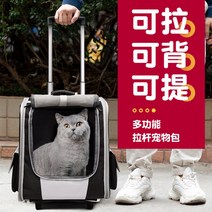 반려동물 이동 가방 캐리어 강아지 고양이 이동장, 블랙