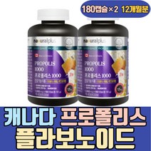캐나다 프로폴리스 1000 플라보노이드17mg 하루권장량 대용량 차광용기 안전마개 키즈 액상 목 구강 기관지 입안 캔디 하루 데일리 맞춤 부모님 황사철 환절기 겨울철 어린이 유아