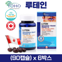 루테인 눈영양제 베타카로틴 비타민A 비타민E 아연 캐나다직수입 식약처인정 건강기능식품, 6박스, lutein 90캡슐