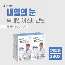 안구 망막 모세 혈관 혈류량 증가 눈 시력 피로도 노화 회복 건강 을 지키는 루테인 아스타잔틴 헤마토코쿠스 영양제, 2BOX(2개월분)