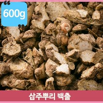 말린 삽주뿌리 600g 백출 약재 약초 삽주뿌리차 건강차 술 담금주 중국산