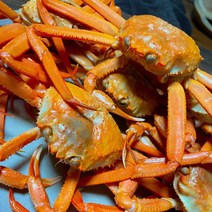서민갑부 대게 감동수산 포항 구룡포 자숙 홍게 10마리, 가성비홍게10마리
