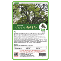 녹나무 1Kg 향장목 수목종자 조경 녹나무씨