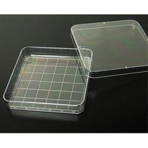 세포 세균 과학 실험 용기 사각 샬레 10개 실험도구