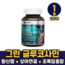 그린 글루코사민 황산염 비타민 초록입홍합 상어연골 분말 함유 캡슐 정타입 먹는방법, 1통, 120정