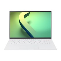 2022 LG전자 그램 16ZD90Q-GX56K (40.6cm 인텔12세대 앨더레이크 CPU NVMe 16GB), Free DOS, 스노우화이트, 768GB, 코어i5, 16GB
