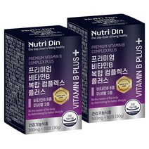 뉴트리딘 프리미엄 비타민B 복합 컴플렉스 플러스, 60정, 2개, 60정