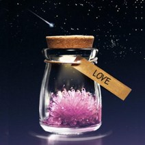 LED 수정키우기 실험키트 수정만들기 중등과학