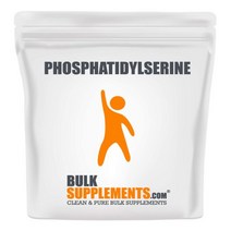 벌크써플러먼트 포스파티딜세린 분말 10g Phosphatidyl Serine