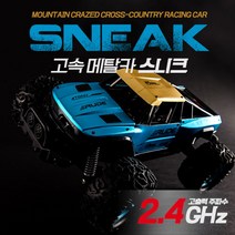 유원 충전식 스니크 고속메탈 RC카 1대12 스케일 무선조종, 스니크 RC (블루)