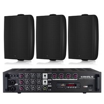 TANNOY DVS4 디저트 카페 매장 스피커 RE40TD3 블랙