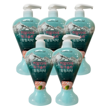 죽염 히말라야 핑크솔트 펌핑치약 아이스카밍민트, 285g, 5개