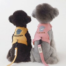 모모스페이스 강아지 하네스 목줄 가슴줄 애견 이니셜 얼굴 자수 커스텀 소형견 중형견 4컬러, 레드