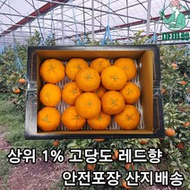 [제주토박이농사꾼] 마미템 제주 명품 레드향 3kg 5kg 10kg 중과 선물세트 못난이 가정용 벌크 선물용 세트 최고급 14brix 고당도 특품 당도선별, 달콤가득 중소과 5kg (30-40과)