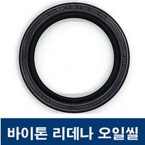 에스케이종합상사 바이톤 리데나 25-35-7 (25X35X7) 오일씰 TC