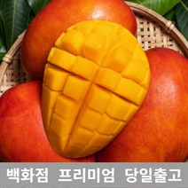 [특등급선별] 애플망고 1kg 제주애플망고 제주도애플망고 제주망고 애플망고선물세트 제주산애플망고 망고선물세트 애플망고선물 과일 과일종류 제철과일 겨울과일 망고쇼핑몰 과일선물 레드망