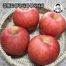 [농사임당] 강원도 양구 햇사과 부사사과 5kg, 01.23~24과