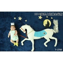 신생아 본아트 50일 100일셀프촬영 스튜디오 아기 사진 배경지, 상세페이지 참조, 상세페이지 참조, Z2타입