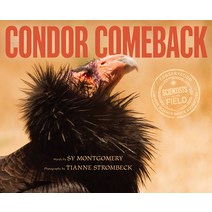 Condor Comeback Hardcover, Houghton Mifflin