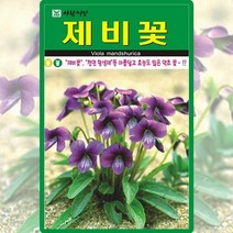 제비꽃 씨앗 제비꽃 씨 꽃 종자 500립, 단품