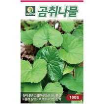 곤드레 100립 - 씨 씨앗 곤드레씨앗 곤드레씨 나물씨 나물씨앗 민속채소 채소씨 채소씨앗 고려엉겅퀴, 16_다농_곰취나물(100립)