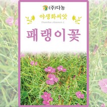 패랭이꽃 씨앗 패랭이 씨 야생화 꽃 종자 400립