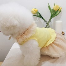 애견용품 애견의류 강아지옷 케이프 데일리 봉봉, Grey:L