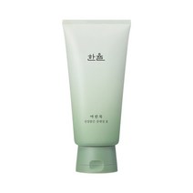 한율 어린쑥 진정맑은 클렌징폼 저자극 피부진정 세안제 120g