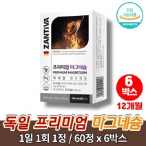 코스트코 독일산 프리미엄 고함량 순수 리얼 마그네슘 400 mg 보충제 마그네시움 MAGNESIUM 영양제 정, 6박스