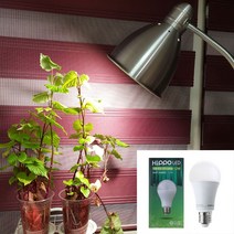 가정용 식물조명 식물등 식물생장 LED식물등 식물재배, 히포 식물등 12W