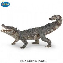 파포 카프로수쿠스(55056) 완구/소꿉놀이세트/교육용게임/신체놀이/손씻기교육/아동수학교육/완구쇼핑몰/교육완구/교육교구/수입완구