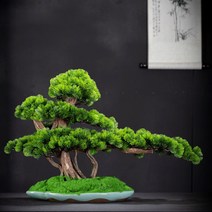 사무실 소나무 분재 조화 선물 미니어쳐 개업 조경수, 단일사이즈, E