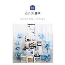 리뉴얼오픈 스넵촬영 성장동영상 2023 리뉴얼 오픈 서울 광명 부천 인천 출장돌상 ivory, 옐로우