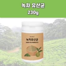 플란타룸김치유산균 녹차유산균 프로바이오스틱 프로바이오텍스 프로바이오스틱스 마이크로바이옴 락토바실러스균 락토바실러스플란타럼 락토바실루스 람노스유산균 효과좋은유산균 유신균 유상균