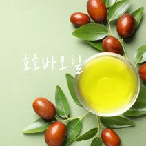 호호바오일 호호바씨오일-비정제 냉압착(골든), 100ml