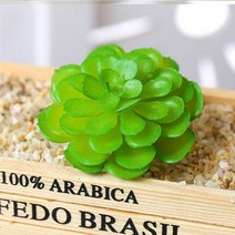 (주)아트인 인조 다육이(M07), 1개