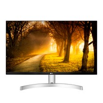 LG전자 54.6cm FHD IPS 모니터, 22MK600MW