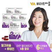 비타민마을 간건강 눈건강 밀크씨슬 루테인 플러스 9 6박스 6개월분 실리마린 눈영양제