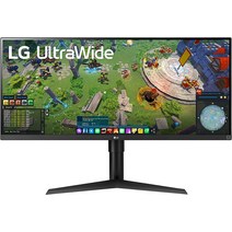 커브드모니터 게이밍 게임 용 듀얼 커브 모니터 LG 29WP60G-B 울트라와이드 모니터 29형 21:9 FHD(2560 x 1, 02 34 Inches