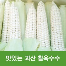 괴산 대학찰옥수수 특상품 Corn 괴산 대학찰옥수수 괴산찰옥수수 괴산 옥수수 괴산대하찰옥수수 대학찰옥수수 괴산옥수수, 괴산 대학 찰옥수수, 10개