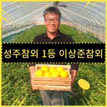 진짜 맛있는 참외만 보내드립니다.성주참외 16브릭스 3kg/5kg 참외10kg 이상준참외 산지직송, 3kg-꼬마과