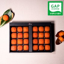 감좋은날 청도 반건시 곶감 선물세트(+선물가방포함), 1박스, 2400g(30과/특과)
