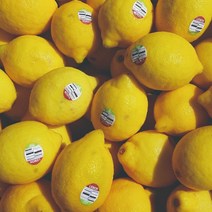 팬시레몬 칠레산 미국산 3kg~17kg, 칠레산／117kg (140과크기)
