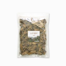 에코스킨 소루쟁이 소리쟁이, 300g, 1개