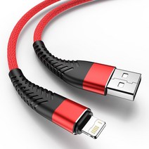 고속 충전기 무선 고속 충전 USB 케이블 아이폰 11 12 13 프로 맥스 Xs X XR 8 7 6 6s 플러스 SE2 아이패, 03 빨간_03 2m