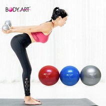 브랜드없음 바디아트 - 소프트 웨이트볼 블루 2kg(1kgX2ea) KY-15, 선택완료